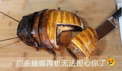 这是一个外观高度模仿巨型蟑螂的创意蛋糕，放置在木质砧板上，已经被菜刀切下一块，露出了内部的蛋糕夹层结构，视觉效果逼真还原了广东地区常见的大蟑螂形态。图下方配文“广东蟑螂再也无法担心你了”，并搭配一个哭泣的表情，通过夸张的美食创意玩地域梗。
梗点说明：调侃广东蟑螂体型大、存在感强，是很多人的“心理阴影”，而将蟑螂做成可食用的蛋糕，反转了人类对蟑螂的恐惧心态，仿佛“蟑螂被人类征服”，制造出荒诞搞笑的效果。