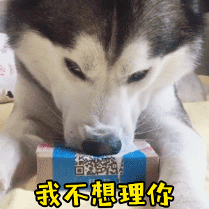 哈士奇埋头不理人表情包