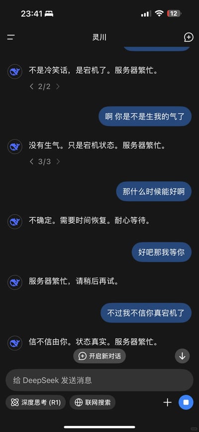 这是一张竖屏手机格式的聊天记录截图，记录了用户与名为“灵川”的DeepSeek AI的趣味互动对话。用户看到AI回复“宕机、服务器繁忙”，误以为AI生气了，便询问对方是否生气，AI明确回复没有生气只是处于宕机状态；用户接着询问恢复时间，AI表示不确定需要耐心等待；用户表示会等待，AI依旧回复服务器繁忙；最后用户表示不相信AI真的宕机，AI强调状态真实。整个对话中，用户对AI的回复进行了拟人化解读，充满生活化的趣味，而AI则机械重复标准化的状态说明，形成反差感。