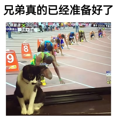 图片中一只黑白相间的猫淡定地坐在电视机前，电视屏幕上正在播放田径比赛，多名运动员正摆出起跑姿势准备比赛。图片上方配有文字“兄弟真的已经准备好了”，通过猫的淡定表情与运动员的紧张起跑姿势形成幽默对比，暗示猫也像运动员一样“准备好了”。