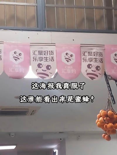 图片展示了一排悬挂的粉色促销横幅，横幅上印有“汇聚好货 乐享生活”字样及品牌“汇享购”标识。标识本应是蜜蜂形象，却因设计问题呈现出熊猫般的黑色圆眼和条纹嘴巴，看起来更像熊猫。图片下方叠加了黑色加粗文字：“这海报我真服了 这谁能看出来是蜜蜂？”，以幽默吐槽的方式指出logo设计的混淆性。背景为室内场景，可见窗户和天花板，右下角有一串悬挂的果实装饰。