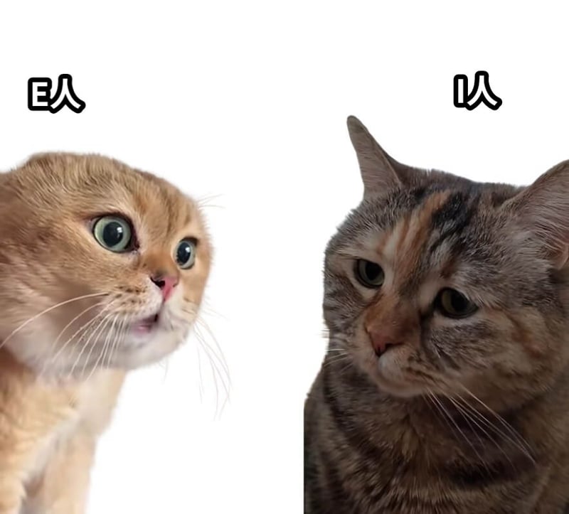E人