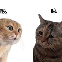 E人缩略图