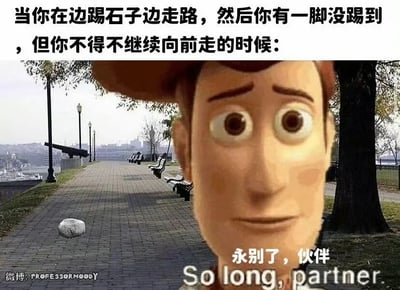 这是一张经过P图改编的网络梗图，创作者将迪士尼动画《玩具总动员》中的角色胡迪的面部特写，合成到户外公园步道的场景中。图片顶部的文字描述了一个非常日常的小场景：当人们边踢着路边的石子边走路时，突然有一脚没踢到石子，却因为要继续前行而不得不“告别”这颗石子的时刻。画面右下角配上了胡迪的经典台词“永别了，伙伴 So long, partner.”，用拟人化的方式，把没踢到石子的微小失落放大，仿佛是和陪伴自己一路的“伙伴”分别，用幽默的方式引发人们对这种日常小遗憾的共鸣。