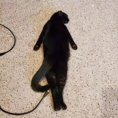 一只纯黑色的猫咪仰躺在米白色带有黑色斑点的地毯上，四肢伸展，尾巴自然弯曲。猫咪的背部朝上，头部微微偏向右侧，似乎处于放松或睡眠状态。在猫咪身体左侧，可以看到一根黑色的数据线，形成了有趣的画面搭配。整个场景展现了猫咪在家中舒适自在的生活状态，给人一种温馨可爱的感觉。