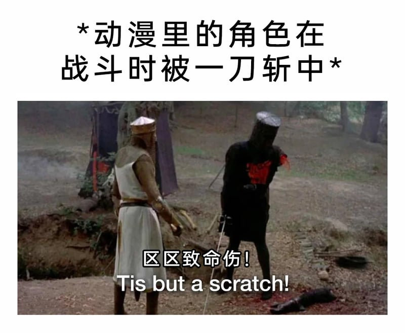《巨蟒与圣杯》