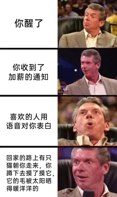 这是一张由四格图文拼接而成的网络梗图，每一格左侧为文字描述的场景，右侧搭配WWE前总裁文斯·麦克马洪的对应表情。第一格文字“你醒了”对应人物平淡漠然的神情；第二格“你收到了加薪的通知”对应人物惊喜的表情；第三格“喜欢的人用语音对你表白”对应人物极度兴奋、夸张的神情；第四格“回家的路上有只猫朝你走来，你蹲下去摸了摸它，它的毛被太阳晒得暖洋洋的”对应人物满足温和的表情。整张图通过表情的递进变化，放大了生活中这些看似普通的小确幸带来的情绪价值，精准戳中打工人对美好日常的期待。