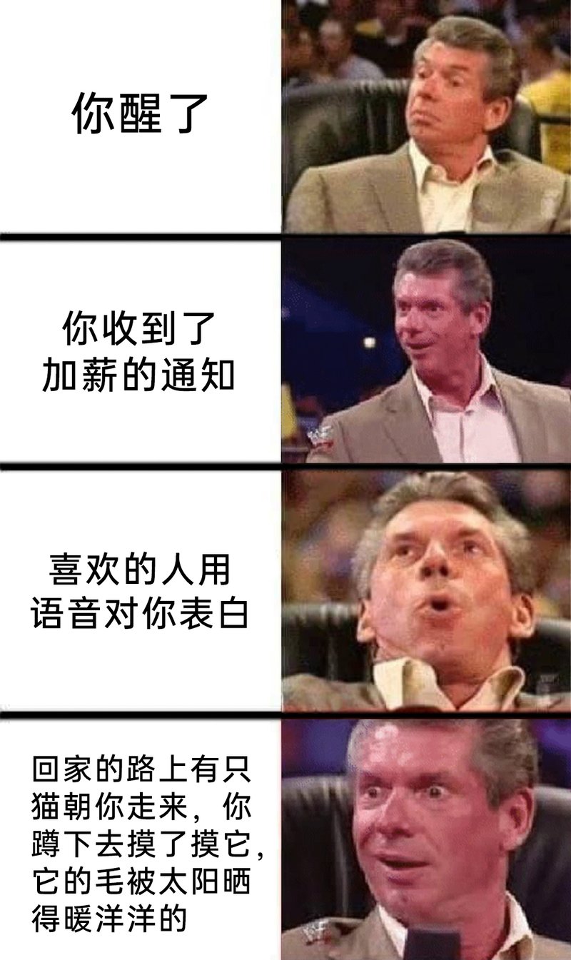世界摔角娱乐(WWE)