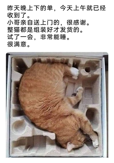 这是一张趣味图文梗图，上方采用网购商品好评的语气撰写文字内容，将橘猫调侃成网购来的商品，称发货速度快、送货上门、是“组装好发货”，还夸赞猫咪“非常能睡”，表示很满意。下方配图是一只橘猫四仰八叉地躺在快递的泡沫包装盒里熟睡，猫咪的身形刚好契合泡沫盒的凹槽，完美呼应了上方的文字内容，用拟人化的创意形式调侃猫咪喜欢待在盒子里的习性，充满趣味性和笑点。