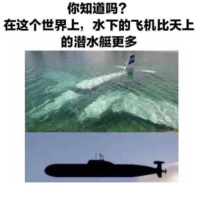 这张梗图通过文字和两张配图制造了一种幽默的反差。上方的文字称“你知道吗？在这个世界上，水下的飞机比天上的潜水艇更多”，并配有一张沉入水下的飞机和一艘飞在天空中的潜水艇剪影照。文本用字面与实际相反的设定来吐槽现实中飞机失事和潜艇极少浮出水面的事实，形成一种冷幽默。

**梗点分析：**
- 双关、反转：水下的飞机指坠落水中的飞机，天上的潜艇则用潜艇的轮廓P到天空形成反差。
- 暗示：戏谑现实中飞机失事的频率和潜艇罕见上浮的状况。
- 暗含网络冷笑话风格。
