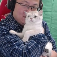 银渐层猫咪