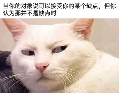 这是一张文字加注类的静态表情包图片，图片上方配有文案“当你的对象说可以接受你的某个缺点，但你认为那并不是缺点时”，描述了情侣相处中一个容易引发情绪的场景；图中的主体是一只白色猫咪，它眉头微蹙，眼睛半睁，嘴角向下撇，露出满脸无语、略带嫌弃和不满的神情，安静地趴着，拟人化地精准呈现了当事人在被对象误解自己的特点、不被认同的瞬间，那种憋屈又无奈的情绪，能够引发情侣群体的强烈共鸣，适合在社交平台上用来调侃情侣间的这类小摩擦。