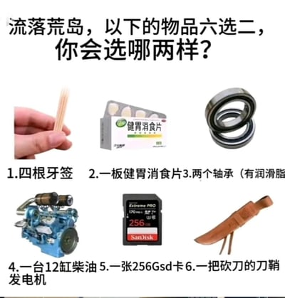 这是一张图文混排的趣味互动图，顶部以醒目的文字提出问题：“流落荒岛，以下的物品六选二，你会选哪两样？”，下方分两排展示了六个可选物品及对应的编号说明：第一排从左到右分别是1.四根被手拿着的牙签，2.一板健胃消食片，3.两个带有润滑脂的轴承；第二排从左到右是4.一台12缸柴油发电机，5.一张256G的SanDisk Extreme PRO SD卡，6.一把砍刀的刀鞘。这些选项大多在荒岛生存场景下存在明显的实用性缺陷，比如发电机没有燃料、刀鞘没有刀、SD卡没有读取设备等，通过这种荒诞的选项设置，制造出反差感和趣味性，引导用户参与讨论，思考极端场景下的物品选择逻辑。