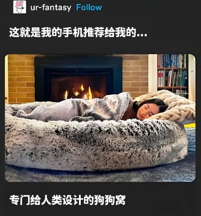 图片中展示了一个人舒适地躺在一个超大号、毛茸茸的圆形狗狗窝里，身上盖着毯子，背景是温暖燃烧的壁炉和砖墙，旁边有一个装满书籍的书架。图片上方文字写着“这就是我的手机推荐给我的...”，下方文字为“专门给人类设计的狗狗窝”，幽默地调侃手机推荐算法将本应给宠物的狗窝推荐给了人类，营造出一种轻松搞笑的氛围。