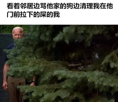 图片上半部分是黑色文字："看着邻居边骂他家的狗边清理我在他门前拉下的屎的我"。下半部分是美国前总统拜登躲在松树后面窥视的照片，他的脸从松树枝叶间露出，表情严肃又带着一丝滑稽。图片通过文字与拜登躲在树后的形象形成幽默对比，暗示文字中描述的人正像拜登一样偷偷观察邻居的反应。