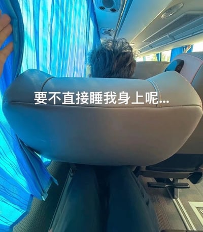 这张图是在公交车内部拍摄的第一视角照片，拍摄者坐在座位上，前方座位的乘客头发凌乱，头部向后靠得很近，几乎要碰到拍摄者的座位。图片中间有白色文字覆盖：'要不直接睡我身上呢...'，表达了拍摄者对前方乘客靠得太近的无奈和调侃。