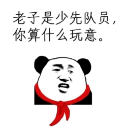 熊猫头少先队员表情包