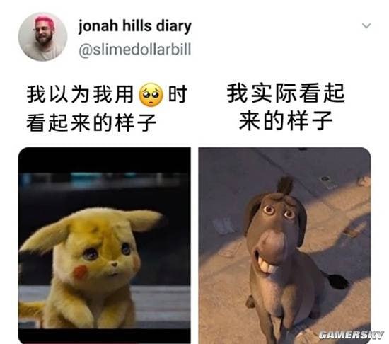 驴子