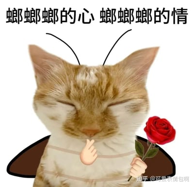 一张幽默的猫咪表情包，画面主体是一只闭着眼睛的橘猫，头上被P上了两根黑色的触角，脖子上有类似昆虫身体的条纹装饰。猫咪右手（画面右侧）拿着一朵红色玫瑰花，左手（画面左侧）做出食指放在嘴边的安静手势，表情看起来十分陶醉。图片上方配有文字“螂螂螂的心 螂螂螂的情”，利用“螂”字重复制造幽默效果，同时谐音“郎”字，暗示爱情主题。