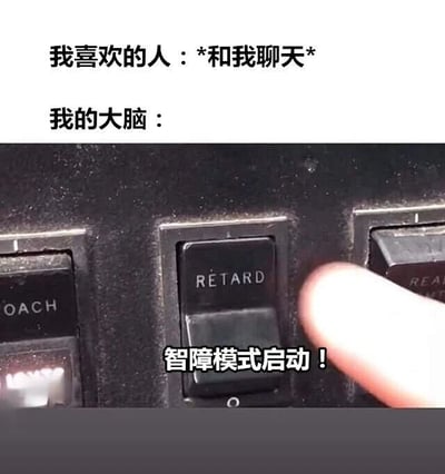 图片上方文字为“我喜欢的人：*和我聊天*”以及“我的大脑：”，下方是一张实物开关面板的照片，其中一个标有“RETARD”的黑色开关正被一根手指按下，开关下方配有文字“智障模式启动！”。整体通过幽默的方式表现了当和喜欢的人聊天时，大脑仿佛会开启“智障模式”，让人变得语无伦次、不知所措的尴尬又好笑的状态。