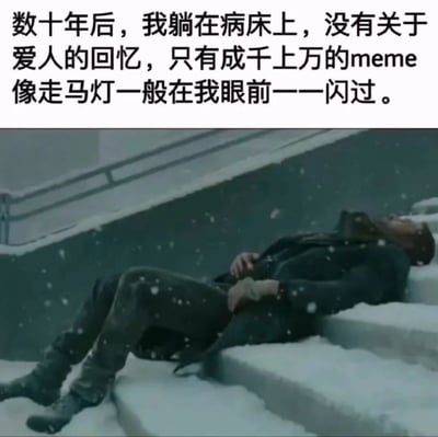 图片上半部分为黑色文字：“数十年后，我躺在病床上，没有关于爱人的回忆，只有成千上万的meme像走马灯一般在我眼前一一闪过。” 下半部分是影视截图，画面中一名穿着深色衣物的男子躺在覆盖着积雪的楼梯上，雪花飘落，男子姿态虚弱，呈现出濒死的场景。整体通过幽默夸张的方式，调侃了互联网时代人们可能被海量meme占据记忆的现象，将严肃的临终回忆场景与轻松的网络文化元素结合，形成反差萌的搞笑效果。