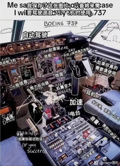 这是一张基于波音737真实驾驶舱照片创作的搞笑梗图，图中用非常通俗甚至戏谑的生活化语言，给驾驶舱内的专业航空部件做了反差感极强的标注。顶部配文“我保存了这张图片，以备将来需要驾驶波音737飞机时使用”，营造出普通人想临时掌握专业飞机驾驶操作的滑稽氛围。标注内容包括将专业的推力反向器标注为“机翼变大”，停机刹车标注为“手刹（如果你成功的话）”，还有“坐下来，深吸一口气”这种调侃式的心理提示，同时对自动驾驶、起落架、加速、减速等操作部件都用直白到夸张的语言解读，整体风格幽默滑稽，用反差感调侃了飞机驾驶的专业性，以及普通人面对复杂专业设备时的陌生与无措心态。