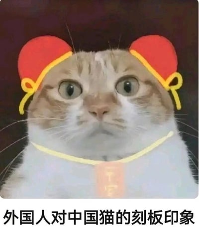 这是一张经过P图改编的静态趣味图片，主体是一只浅橘色的真实猫咪，它眼睛圆睁，表情惊讶地直视前方。创作者给猫咪手绘添加了带有黄色镶边的红色中式官帽样式装饰，还有黄色领口和带有“官”字的类似传统官服的图案。图片底部配有文字“外国人对中国猫的刻板印象”，以幽默夸张的方式，将外国人对中国的刻板印象套用在猫咪身上，用滑稽的形式讽刺了刻板印象的片面与荒谬，属于搞笑的表情类素材图。
