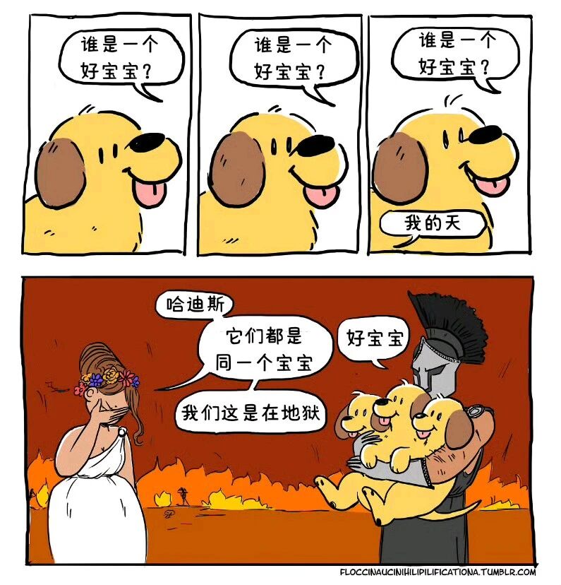 黄色狗狗