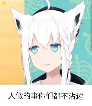 图片中是一位卡通风格的少女，她有着白色长发，头顶有一对猫耳，眼睛为蓝色，头发编成了一条侧辫。背景由绿色和黄色区域组成，带有简单的花纹装饰。图片底部配有文字“人做的事你们都不沾边”，整体给人一种二次元角色吐槽的感觉。