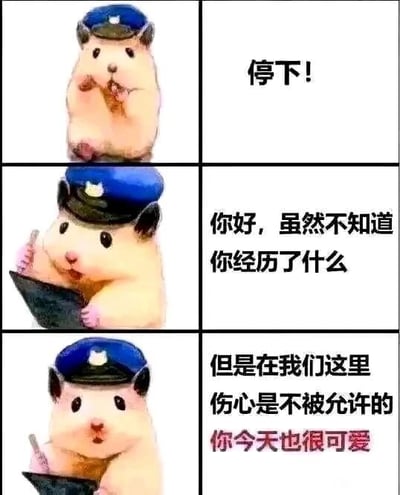 这是一张三行两列的连环图文混排梗图，左侧三栏为戴着蓝色警帽的仓鼠形象：第一栏仓鼠双爪举起示意，第二栏手持本子记录，第三栏继续低头书写；右侧对应三栏文字依次为“停下！”“你好，虽然不知道你经历了什么”“但是在我们这里伤心是不被允许的 你今天也很可爱”（其中“你今天也很可爱”为红色字体）。整体通过拟人化的警察仓鼠形象，以温和关切的语气传递安慰与鼓励，用可爱动物形象软化严肃感，营造治愈温暖的氛围。