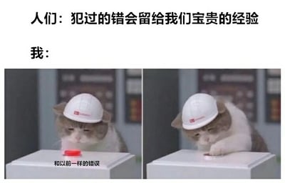 这是一张左右对比的梗图，上方文字为"人们：犯过的错会留给我们宝贵的经验"和"我："。左侧图片中一只戴着白色安全帽的猫正在嗅一个红色按钮，下方配有文字"和以前一样的错误"。右侧图片中同一只猫正在按下这个按钮。图片通过幽默的方式展现了人们常说的"从错误中学习"与现实中"重复犯同样错误"的反差，表达了一种自嘲的幽默感。