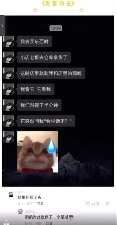 这张图片上方标注有标题《反客为主》，主体是深色模式的社交聊天界面记录：一名用户分享自己的亲身趣事，去小店购物时老板去仓库拿货，店内只剩自己和店主养的鹦鹉，二者对视半分钟后，鹦鹉居然率先开口询问他“会说话不？”，用户还搭配了一张额头挂着巨大汗珠的橘猫无语表情包来体现自己错愕的心情。聊天记录下方附带两条高赞网友评论，第一条调侃“结果你摇了头”，获7.3万点赞，第二条接梗称“鹦鹉为此愧疚了一个星期”，进一步放大了段子的搞笑效果，整体通过打破“人好奇鹦鹉会不会说话”的常规认知，制造反客为主的反差笑点，趣味性十足。