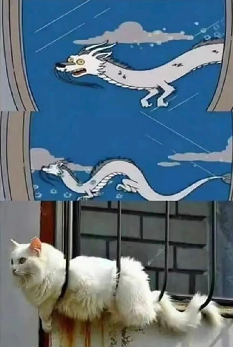 传统动画
