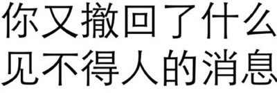这是一张纯文字梗图，内容为“你又撤回了什么 见不得人的消息”。通常用于在聊天场景中，当对方撤回消息后，以调侃或好奇的语气质问对方撤回的内容，带有一定的戏谑和探究意味。
