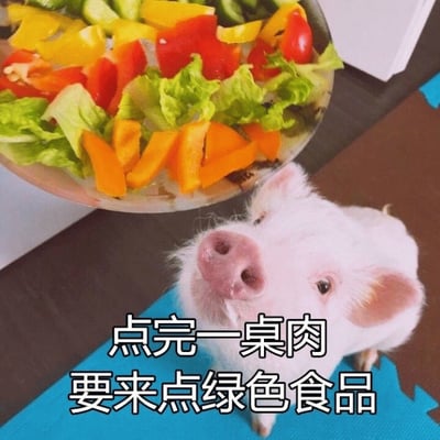 图片中一只白色的小猪正抬头仰望着上方一碗色彩丰富的沙拉，沙拉里有红色、黄色的彩椒块和绿色的生菜叶。小猪的鼻子粉嫩，眼神带着期待，显得十分可爱。图片下方配有文字“点完一桌肉 要来点绿色食品”，通过小猪（本身是肉类）渴望绿色蔬菜的反差，营造出幽默搞笑的效果。