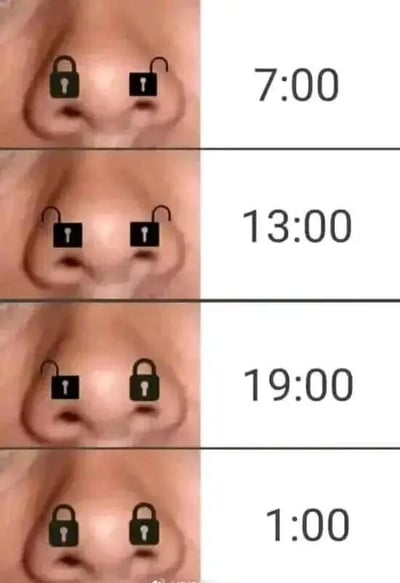 这是一张竖版多图拼接的幽默 meme，由四行画面组成。每行左侧均为真人鼻子特写，鼻孔位置叠加了黑色挂锁图标；右侧对应标注时间：7:00、13:00、19:00、1:00。通过不同时间点鼻子被“锁住”的视觉呈现，调侃人们在一天中可能因各种原因（如闻到异味）需要“屏住呼吸”的有趣场景，整体风格轻松诙谐。