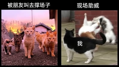 暂无描述