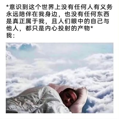 这是一张图文结合的自嘲类梗图，上方配有一段充满哲学意味的人生感悟文字：“意识到这个世界上没有任何人有义务永远陪伴在我身边，也没有任何东西是真正属于我，且人们眼中的自己与他人，都只是内心投射的产物”，这段文字传递出对人际关系、自我与他人认知的通透又略带消极的理解；下方是经过P图合成的图像，一名男子裹着灰色被子、枕着粉色枕头，躺在翻涌的云海之中熟睡，对应文字里的“我”，形成强烈的反差感——在领悟了这些略显沉重的人生真相后，没有做出深刻的行动，反而选择躺平摆烂，以睡觉的方式逃避现实，用幽默的方式戳中当代年轻人在面对生活压力、看透一些人生本质后，选择摆烂放松的普遍情绪，引发共鸣。