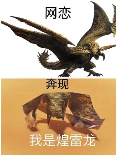 这是一张上下对比的二次创作梗图，上半部分是《怪物猎人》系列中威严霸气的煌雷龙正常形态，配文“网恋”，代表网络中塑造的完美光鲜形象；下半部分是游戏中煌雷龙出现模型加载bug后的扭曲多边形形态，配文“奔现”和“我是煌雷龙”，用游戏角色的巨大视觉反差，调侃网恋奔现里“照骗”的现实落差，将游戏bug与现实社交趣味结合，笑点十足。
玩梗逻辑：用正常模型和bug模型的强烈对比，精准对应网恋时的理想形象与奔现后的真实情况，戳中大众对“网恋照骗”的共鸣点。