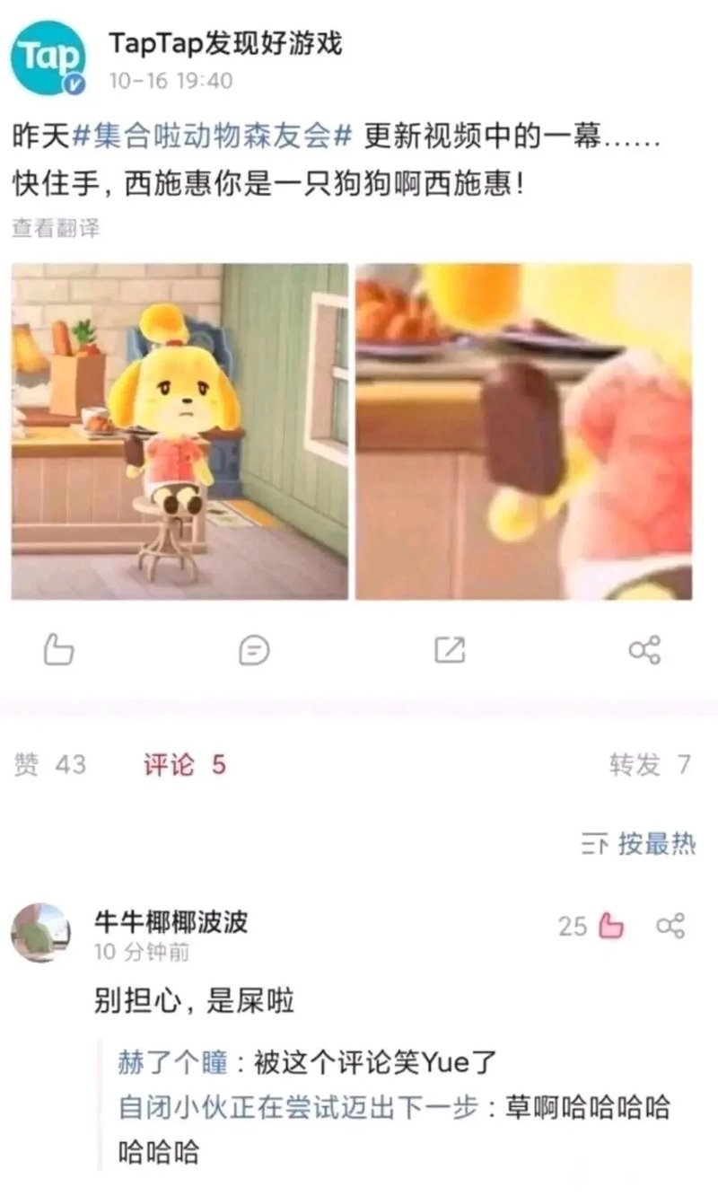西施惠