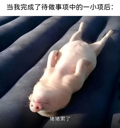 图片上方配有文字“当我完成了待做事项中的一小项后：”，主体部分是一只白色小猪四脚朝天躺在蓝色柔软表面上，双眼紧闭，呈现出极度疲惫的姿态，图片底部则有文字“猪猪累了”。整体通过可爱的小猪形象，幽默地夸张了人们在完成少量任务后便感到身心俱疲的状态，引发共鸣。