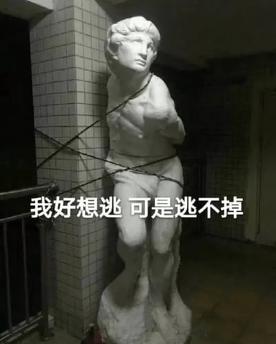 一尊经典的雕像被黑绳绑在一个角落，身体姿态无力且无法挣脱，图中间配有大字"我好想逃 可是逃不掉"，形成极强反差的幽默感。用来表达明明很想摆脱某种现状但却完全无力改变，只能无奈接受的心理状态，特别适合年轻人用来吐槽生活、职场和学习压力。视觉与文字之间的冲突制造出自嘲和搞笑的气氛。

本图突出了“我想逃”却被现实困住的无力心理，是常见的自嘲、吐槽类网络表情包。