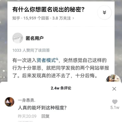 这是一张竖屏手机格式的知乎平台社交媒体截图，展示了一个匿名问答内容。页面顶部的问题为“有什么你想匿名说出的秘密？”，该问题拥有15,959个回答与3.8万关注量。其中一条匿名用户的回答获得1033个赞同，内容为：自己进入贤者模式后，因觉得行为罪恶，举报了同学分享的两个网站，之后发现网站无法访问，感到十分后悔。该回答下有2.4万条评论，截图中展示了一条名为“一身愚勇.”的用户评论，内容为“人真的能坏到这种程度？”，这条评论获得了5.1万点赞。