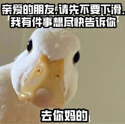 这是一张带有强烈反差感的搞怪表情包，主体是一只白色鸭子，它的头部凑近镜头，眼睛圆睁，表情看起来十分认真，仿佛要告知重要事情。图片上方配有醒目的黑色粗体文字“亲爱的朋友,请先不要下滑,我有件事想尽快告诉你”，成功营造出严肃、引人好奇的氛围，而图片下方的黑色粗体文字“去你妈的”则彻底打破之前的氛围，形成强烈的情绪反差，用这种先引导期待再突然反转的方式制造搞笑、整蛊的效果，适合在社交互动中用来和朋友开玩笑，或是以幽默的方式宣泄情绪。