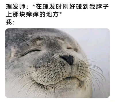 这是一张贴合日常场景的搞笑表情包，上方配文构建了一个理发时的小场景：理发师在理发过程中，刚好精准碰到了“我”脖子上那块一直发痒的位置；下方搭配了一张真实的海豹特写照片，照片里的海豹双眼紧闭，嘴角自然上扬，面部神情充满了满足与享受，完美对应了“我”在痒处被精准触碰时的舒适、惬意状态，生动地放大了这种日常小确幸带来的快乐，让人们能共情到那种恰到好处的爽感，整体风格轻松搞笑又贴近生活。