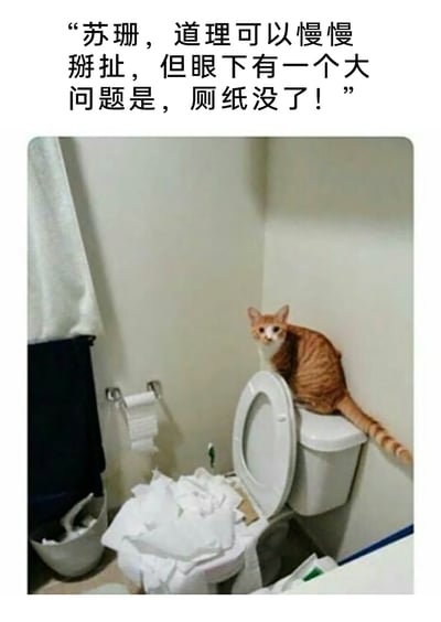 这是一张充满趣味的家庭宠物主题静态图，画面呈现了卫生间的一角：一只橘白相间的猫咪蹲坐在马桶水箱上，睁着眼睛无辜地看向镜头，而马桶座圈和地面上散落着大量被弄乱的厕纸，旁边的厕纸架上只剩下空的纸芯。图片上方配有搞笑吐槽文字：“苏珊，道理可以慢慢掰扯，但眼下有一个大问题是，厕纸没了！”，模拟了如厕时发现厕纸被猫咪破坏殆尽的窘迫又好笑的场景，用拟人化的求助口吻，生动展现了宠物搞破坏后主人的无奈与哭笑不得，容易引发养宠人群的共鸣。