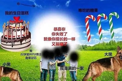 这是一张充满讽刺意味的P图改编梗图，画面背景是蓝天白云下的绿色草地。画面中间是被打码的四人合照，标注为“我美满的一家”；左侧是一只趴在草地上的小狗标注“小黑”，旁边配有文字“我 22岁的NYU博士 身家过亿”，还有一个装饰着爱心和蜡烛的“我的生日蛋糕”；右侧是一只站立的德国牧羊犬标注“大黑”，旁边是三根拐杖糖标注“难吃的糖果”。画面中心的白色光晕区域写着醒目的文字：“恭喜你 你失败了 就像你擅长的一样 又搞砸了”。整图用看似光鲜亮丽的外在标签（高学历、巨额身家、美满家庭、庆祝蛋糕）和直白尖锐的失败评语形成强烈反差，以此制造自嘲、讽刺的效果，没有双关或谐音梗。