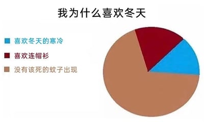 这是一张以“我为什么喜欢冬天”为主题的趣味图文饼图，通过三个选项来展示喜欢冬天的原因：蓝色区域代表“喜欢冬天的寒冷”，深红色区域代表“喜欢连帽衫”，棕色区域代表“没有该死的蚊子出现”。其中棕色区域占据了饼图的绝大部分面积，用夸张的占比反差，生动地表现出创作者对夏天被蚊子骚扰的强烈厌恶，将“没有蚊子”作为喜欢冬天的核心原因，是对日常生活中小困扰的趣味吐槽，能够引发同样被蚊子困扰的人群的共鸣，风格轻松搞笑。