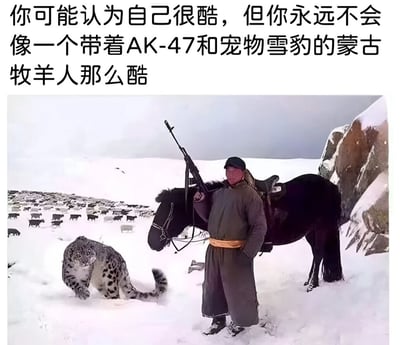 图片上方配有文字“你可能认为自己很酷，但你永远不会像一个带着AK-47和宠物雪豹的蒙古牧羊人那么酷”，下方是一张雪地场景的照片。照片中，一位身着传统服饰的蒙古牧羊人站立在雪地里，左手持一把AK-47步枪，身旁有一匹黑色的马。牧羊人的脚边有一只雪豹，背景中可见大片羊群在雪地中活动。整体画面通过传统游牧元素与现代武器、珍稀动物的组合，营造出强烈的视觉反差，突出“酷”的极致表达。