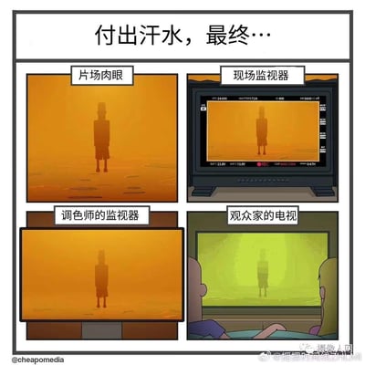 这是一张吐槽影视制作行业色彩还原问题的原创四格漫画，顶部配文「付出汗水，最终…」，通过四个场景的强烈对比展现画面色彩的离谱偏差：
1. 左上角「片场肉眼」：呈现暖橙色日落场景，人物以深色剪影站立在地面上；
2. 右上角「现场监视器」：保留了暖色调画面，同时显示拍摄参数，和肉眼所见差距不大；
3. 左下角「调色师的监视器」：画面和片场肉眼效果一致，维持了原本的暖橙色调；
4. 右下角「观众家的电视」：画面完全偏离预期，变成了诡异的黄绿色调，人物剪影也显得违和。
漫画用夸张的色差对比，自嘲影视从业者精心制作的画面，最终在观众端的播放设备上彻底走样，充满无奈的搞笑感，精准戳中影视制作行业的痛点。